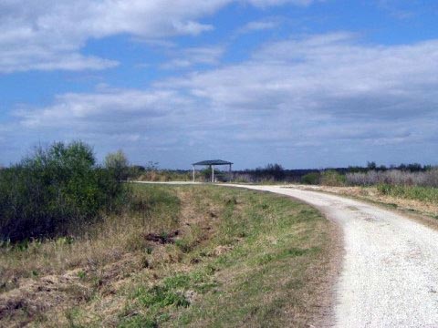 Lake Apopka Loop Trail