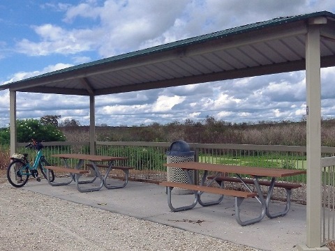 Lake Apopka Loop Trail