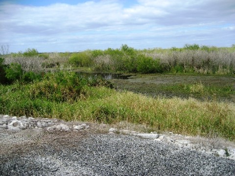 Lake Apopka Loop Trail