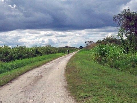 Lake Apopka Loop Trail