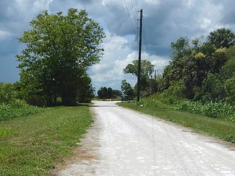 Lake Apopka Loop Trail