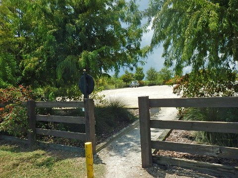 Lake Apopka Loop Trail