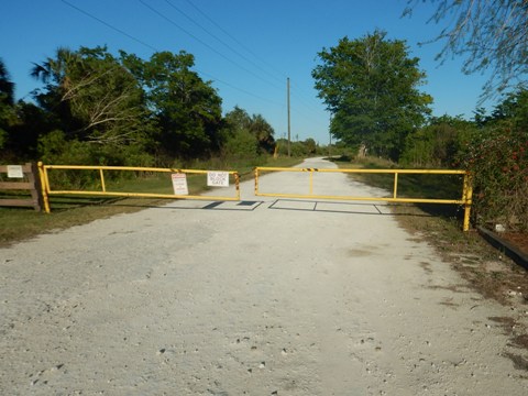 Lake Apopka Loop Trail