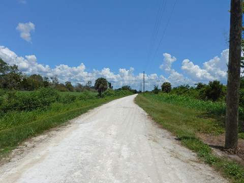 Lake Apopka Loop Trail