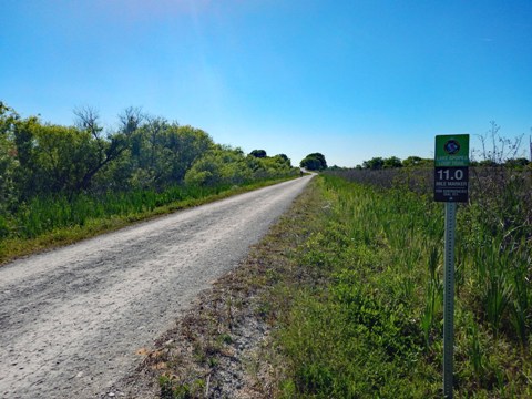 Lake Apopka Loop Trail