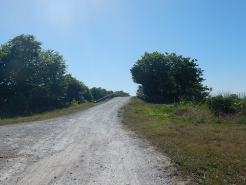 Lake Apopka Loop Trail