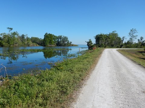 Lake Apopka Loop Trail