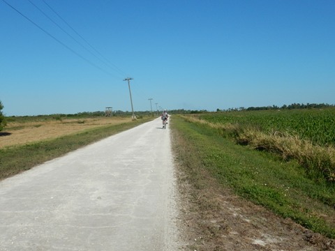 Lake Apopka Loop Trail