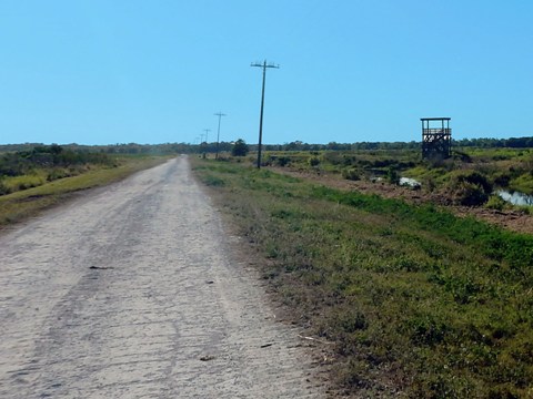 Lake Apopka Loop Trail