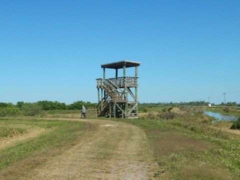 Lake Apopka Loop Trail