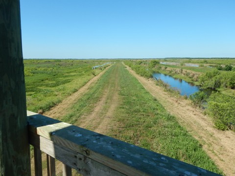 Lake Apopka Loop Trail