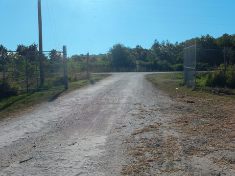 Lake Apopka Loop Trail