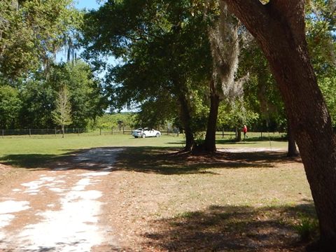 Lake Apopka Loop Trail