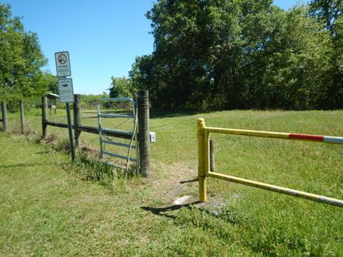 Lake Apopka Loop Trail