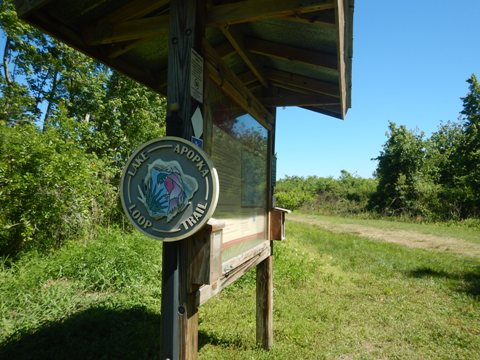 Lake Apopka Loop Trail