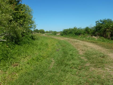 Lake Apopka Loop Trail