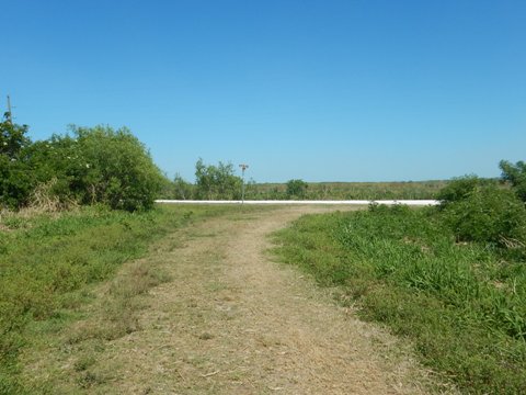 Lake Apopka Loop Trail