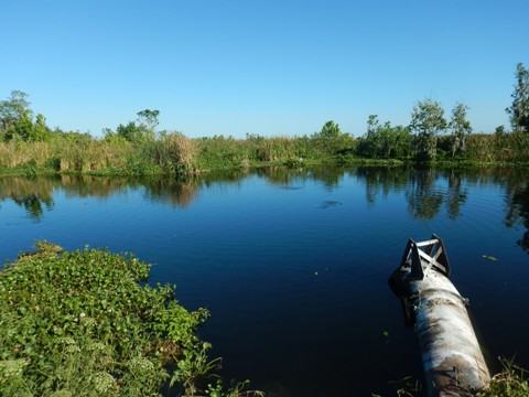 Lake Apopka Loop Trail