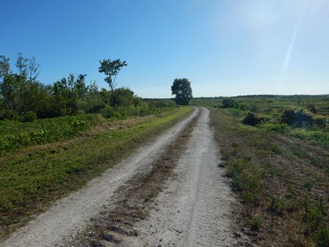 Lake Apopka Loop Trail