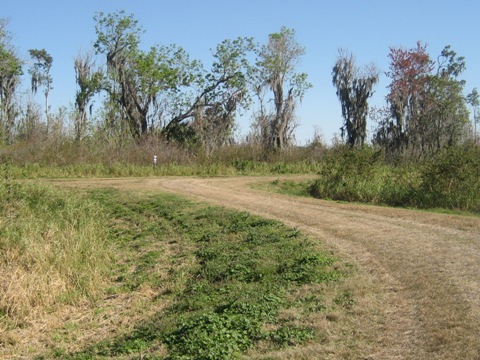 Lake Apopka Loop Trail