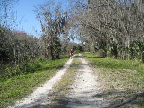 Lake Apopka Loop Trail