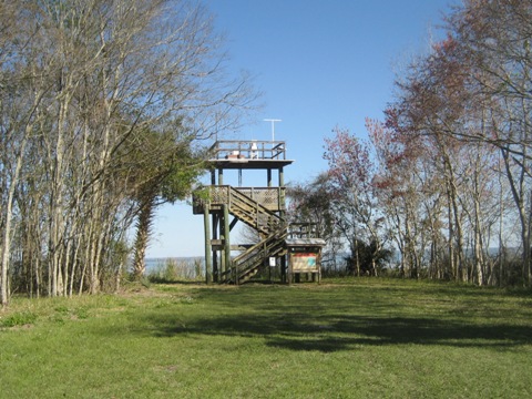 Lake Apopka Loop Trail