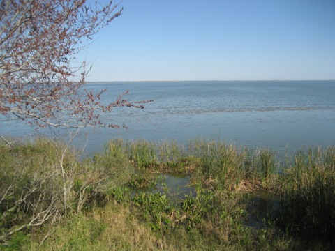 Lake Apopka Loop Trail