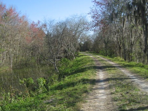 Lake Apopka Loop Trail