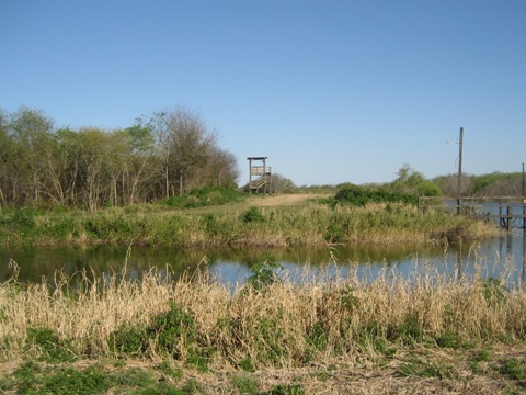 Lake Apopka Loop Trail