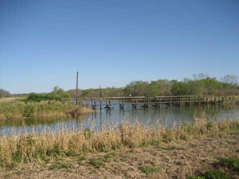 Lake Apopka Loop Trail