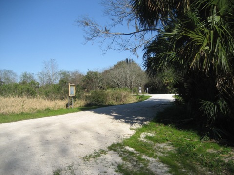 Lake Apopka Loop Trail