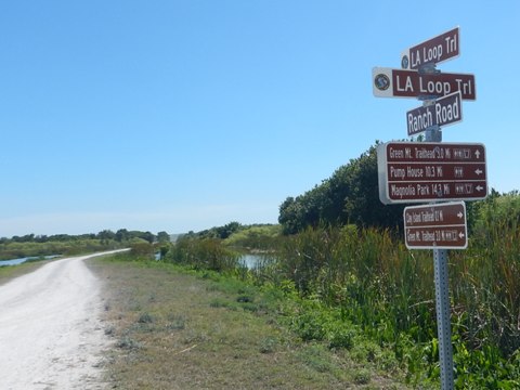 Lake Apopka Loop Trail