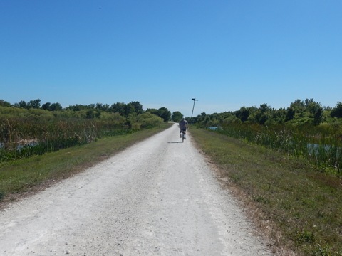 Lake Apopka Loop Trail