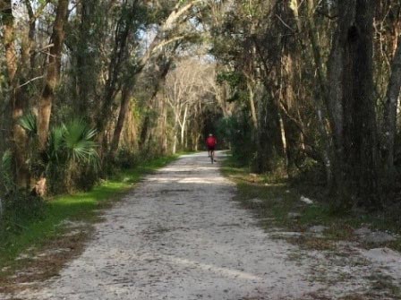 Lake Apopka Loop Trail