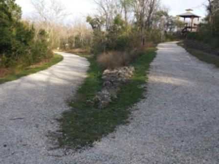 Lake Apopka Loop Trail