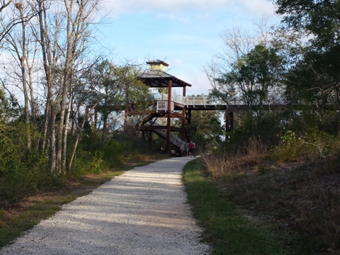 Lake Apopka Loop Trail