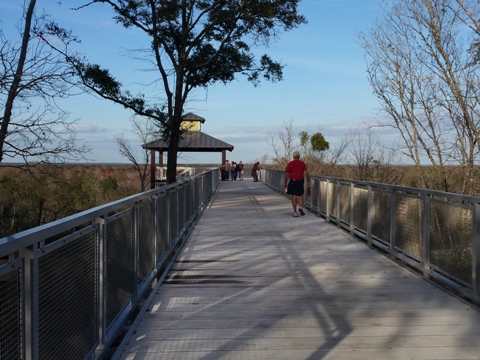 Lake Apopka Loop Trail