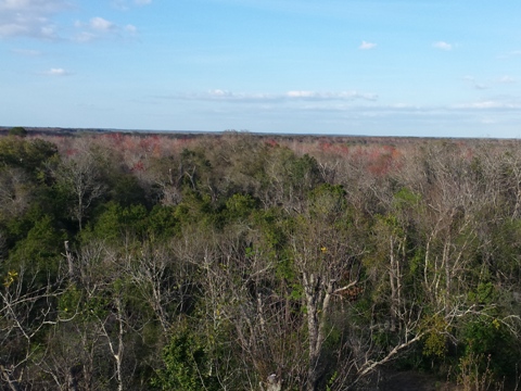 Lake Apopka Loop Trail