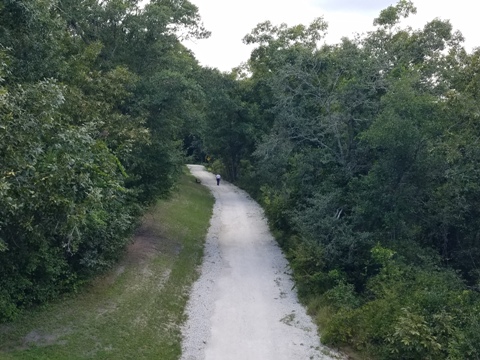 Lake Apopka Loop Trail