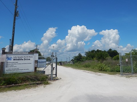 Lake Apopka Loop Trail