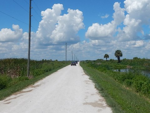 Lake Apopka Loop Trail