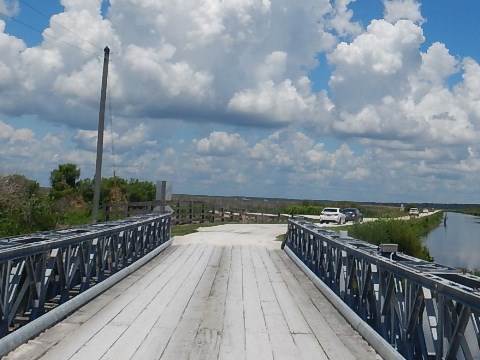 Lake Apopka Loop Trail