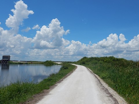 Lake Apopka Loop Trail