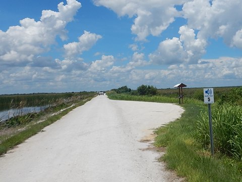 Lake Apopka Loop Trail