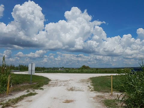 Lake Apopka Loop Trail