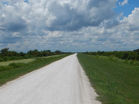 Lake Apopka Loop Trail