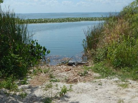 Lake Apopka Loop Trail