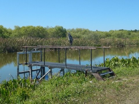 Lake Apopka Loop Trail