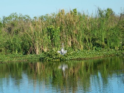 Lake Apopka Loop Trail