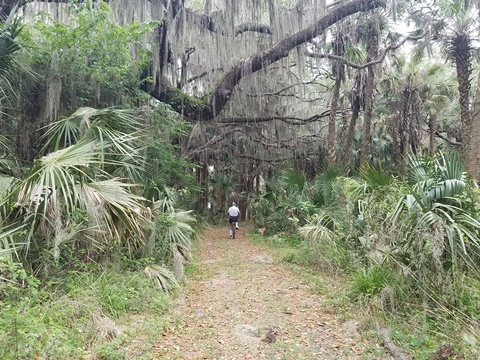 Lake Jesup Conservation Area